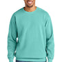 Comfort Colors Mens Crewneck Sweatshirt - Chalky Mint Green