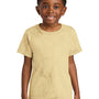 Comfort Colors Youth Color Blast Short Sleeve Crewneck T-Shirt - Citrine Yellow