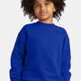 Hanes Youth Ecosmart Pill Resistant Crewneck Sweatshirt - Deep Royal Blue - New