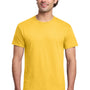 Gildan Mens Short Sleeve Crewneck T-Shirt - Daisy Yellow