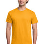 Gildan Mens Short Sleeve Crewneck T-Shirt - Gold