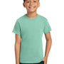 Comfort Colors Youth Short Sleeve Crewneck T-Shirt - Chalky Mint Green