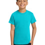 Comfort Colors Youth Short Sleeve Crewneck T-Shirt - Lagoon Blue