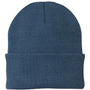 Port & Company Hats Unisex Knit Beanie - Millennium Blue