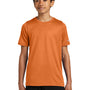 Nike Youth rLegend Dri-Fit Moisture Wicking Short Sleeve Crewneck T-Shirt - Desert Orange