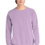 Comfort Colors Mens Crewneck Sweatshirt - Orchid Purple