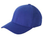Flexfit Mens Cool & Dry Moisture Wicking Stretch Fit Hat - Royal Blue