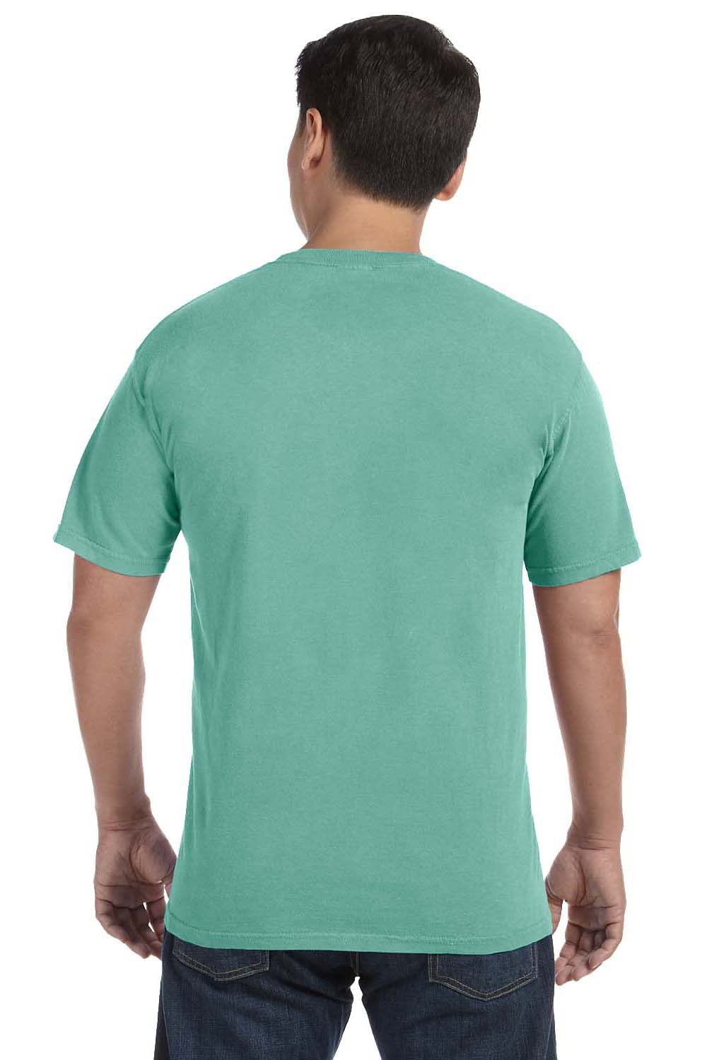 Comfort Colors C1717 Mens Short Sleeve Crewneck T-Shirt Island Reef Green Back