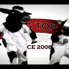 Dancing Cows Video