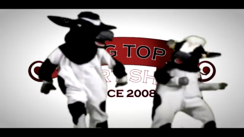 Dancing Cows Video