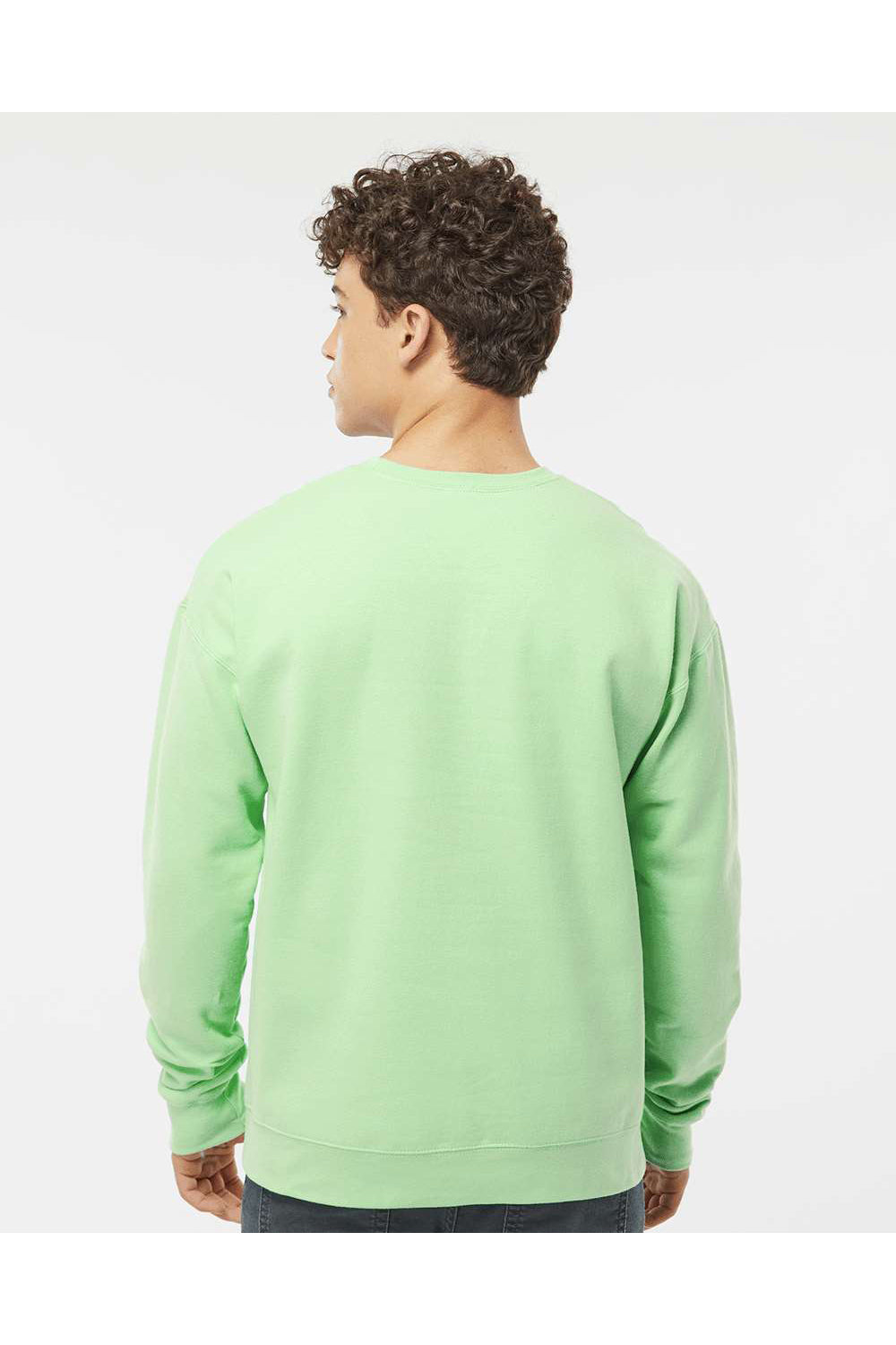 Tultex 340 Mens Fleece Crewneck Sweatshirt Neo Mint Green Model Back