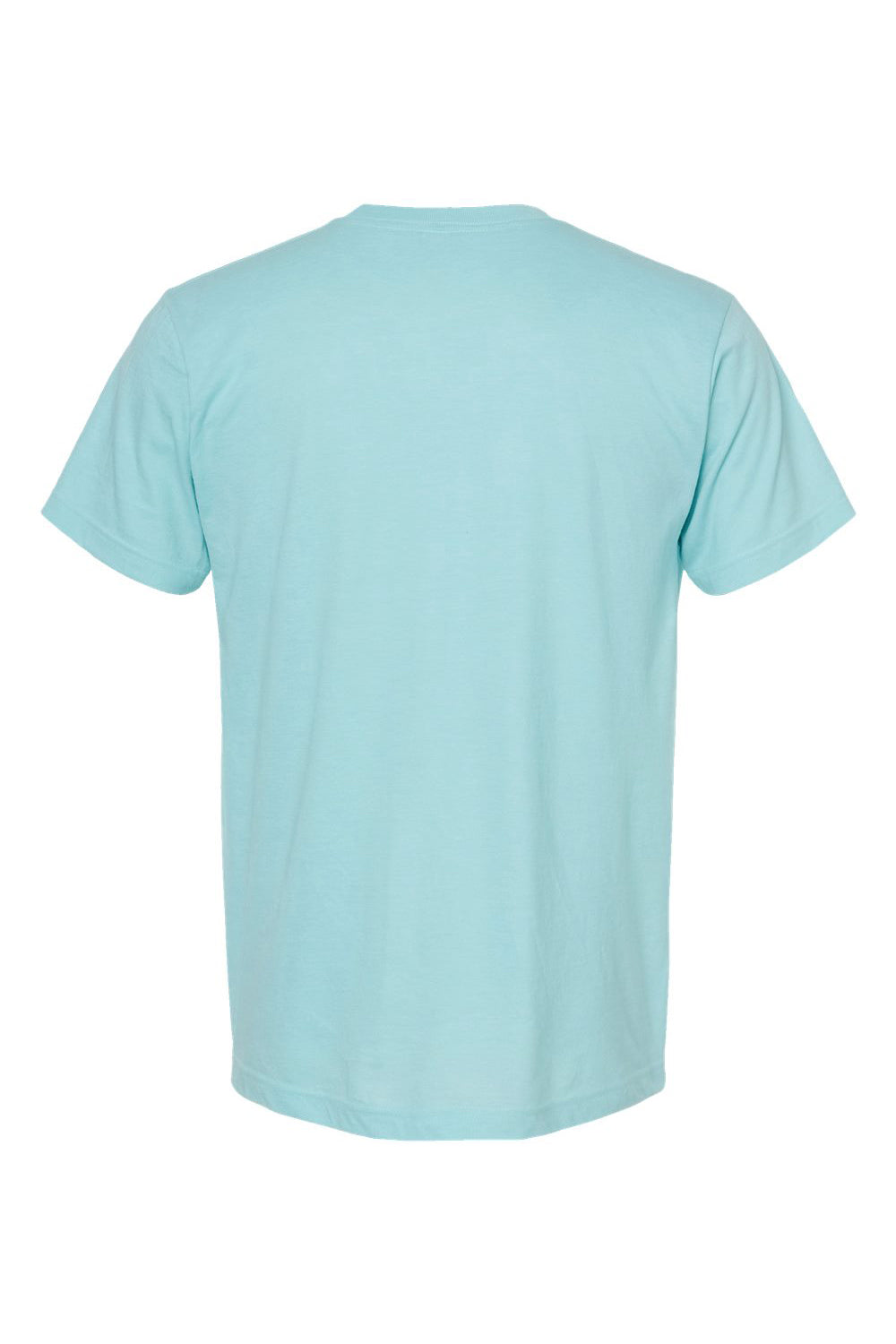 Tultex 202 Mens Fine Jersey Short Sleeve Crewneck T-Shirt Heather Purist Blue Flat Back