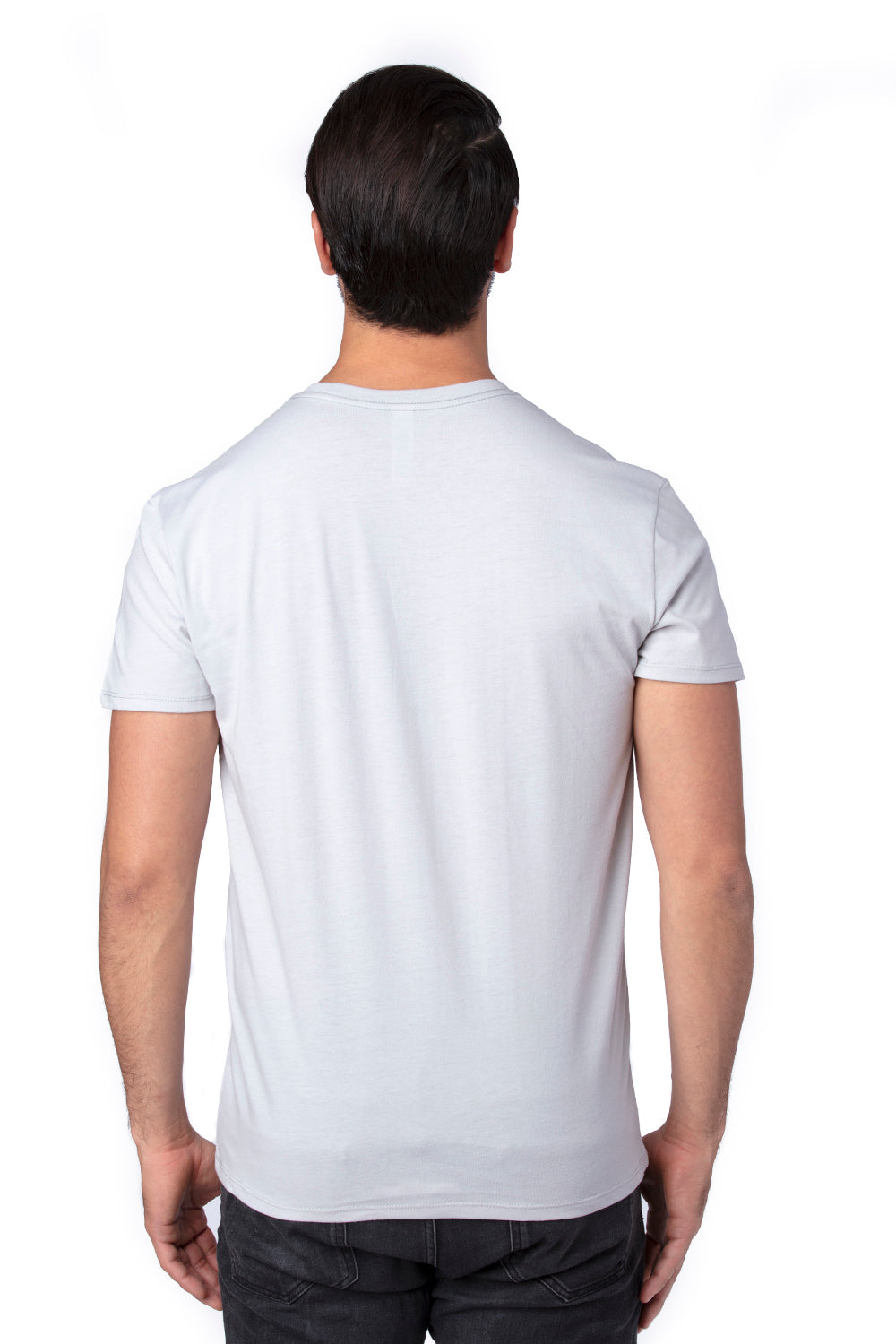 Threadfast Apparel 100A Mens Ultimate Short Sleeve Crewneck T-Shirt Silver Grey Model Back