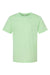 Tultex 235 Youth Fine Jersey Short Sleeve Crewneck T-Shirt Heather Neo Mint Green Flat Front