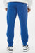 Independent Trading Company IND20PNT Mens Fleece Sweatpants w/ Pockets Royal Blue Model Back