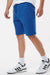 Independent Trading Company IND20SRT Mens Fleece Shorts w/ Pockets Royal Blue Model Side