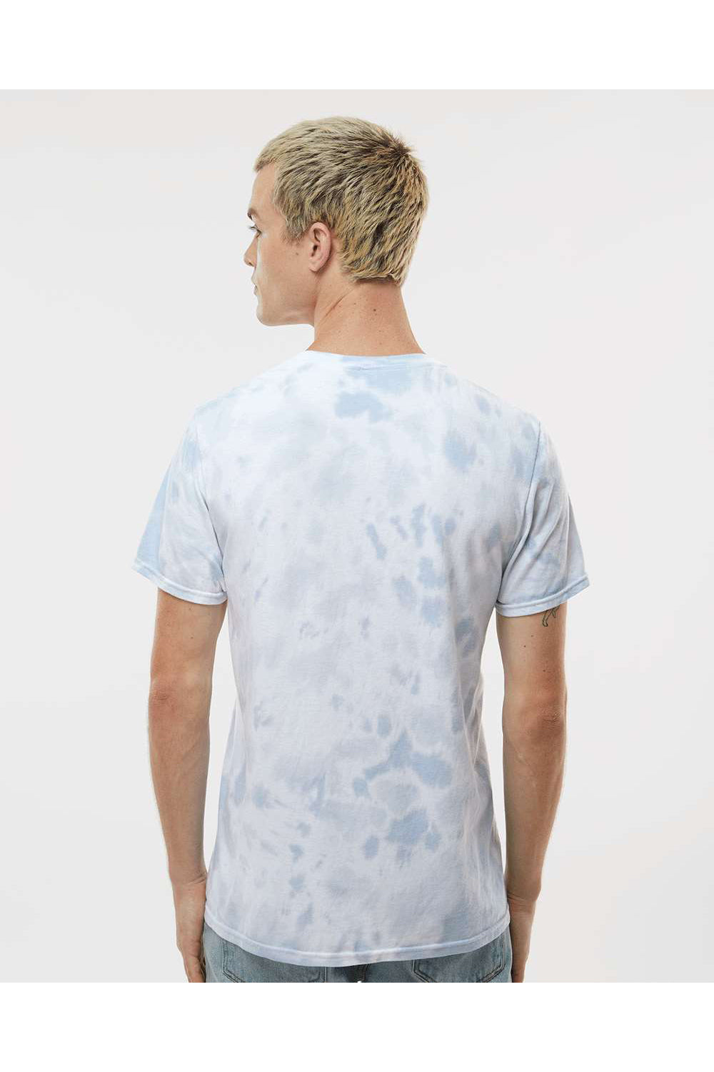 Dyenomite 650DR Mens Dream Tie Dyed Short Sleeve Crewneck T-Shirt Mist Model Back
