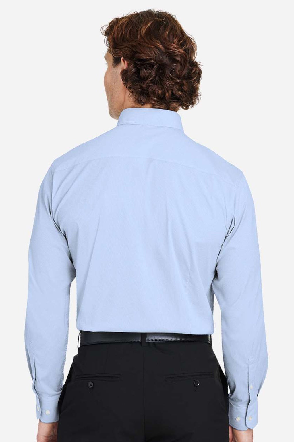 Devon & Jones DG537 Mens CrownLux Performance Microstripe Long Sleeve Button Down Shirt French Blue/White Model Back