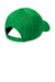 Nike Hats 548533 Mens Dri-Fit Moisture Wicking Adjustable Hat Lucky Green Flat Back