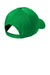 Nike 548533  Dri-Fit Moisture Wicking Adjustable Hat Lucky Green Flat Back