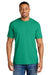 Comfort Colors 1717 Mens Short Sleeve Crewneck T-Shirt Island Green Model Front