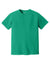 Comfort Colors 1717 Mens Short Sleeve Crewneck T-Shirt Island Green Flat Front