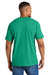 Comfort Colors 1717 Mens Short Sleeve Crewneck T-Shirt Island Green Model Back