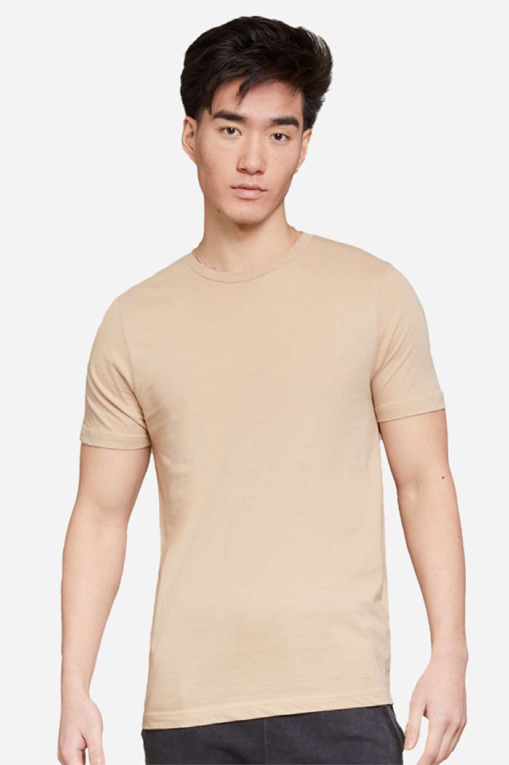 Lane Seven LS15001 Mens Heavyweight Short Sleeve Crewneck T-Shirt Mushroom Model Front