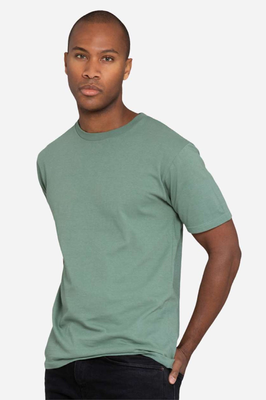 Lane Seven LS15001 Mens Heavyweight Short Sleeve Crewneck T-Shirt Sage Green Model Side