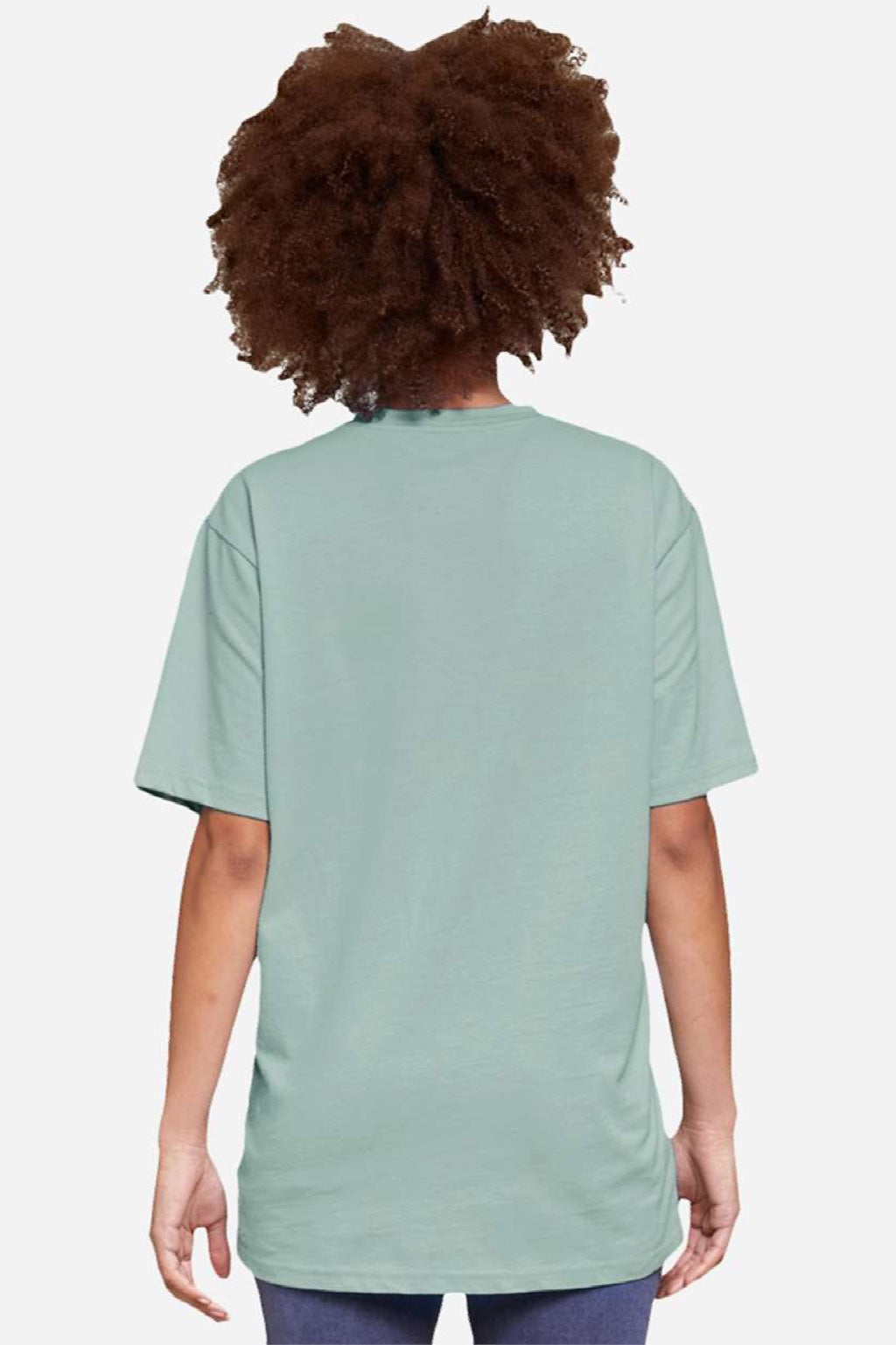 Lane Seven LS15001 Mens Heavyweight Short Sleeve Crewneck T-Shirt Seafoam Green Model Back
