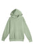 Lane Seven LS16001 Mens Urban Pullover Hooded Sweatshirt Hoodie w/ Pouch Pocket Oil Green Flat Front