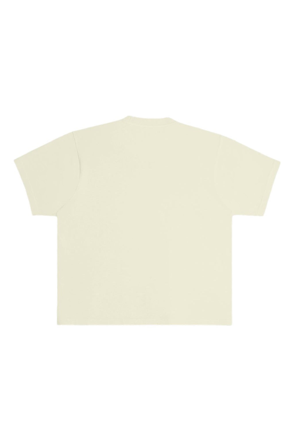 Lane Seven LS16005 Mens Urban Heavyweight Short Sleeve Crewneck T-Shirt Pistachio Green Flat Back