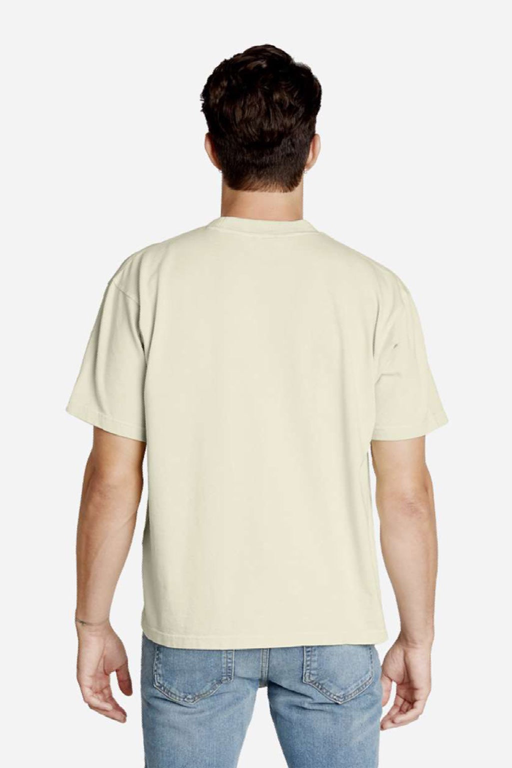 Lane Seven LS16005 Mens Urban Heavyweight Short Sleeve Crewneck T-Shirt Pistachio Green Model Back