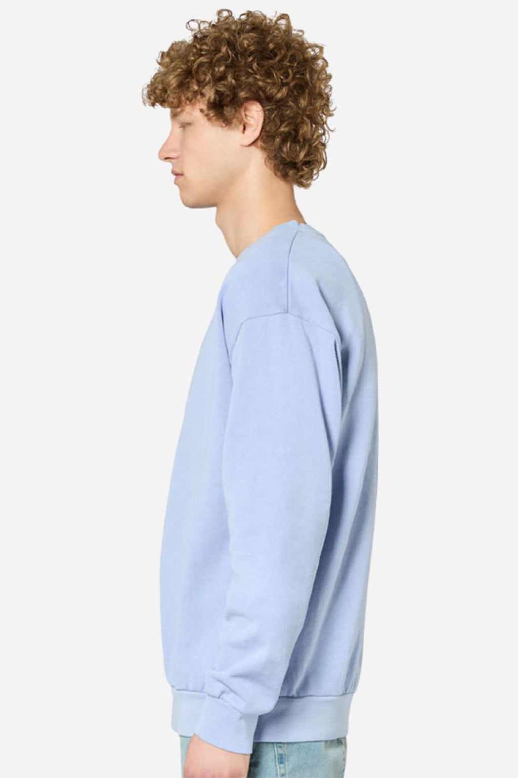 Lane Seven LS16004 Mens Pigment Dyed Crewneck Sweatshirt Grape Ice Model Side