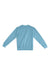 Lane Seven LS16004 Mens Pigment Dyed Crewneck Sweatshirt Pebble Blue Flat Back