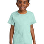 Comfort Colors Youth Color Blast Short Sleeve Crewneck T-Shirt - Sea Glass Green