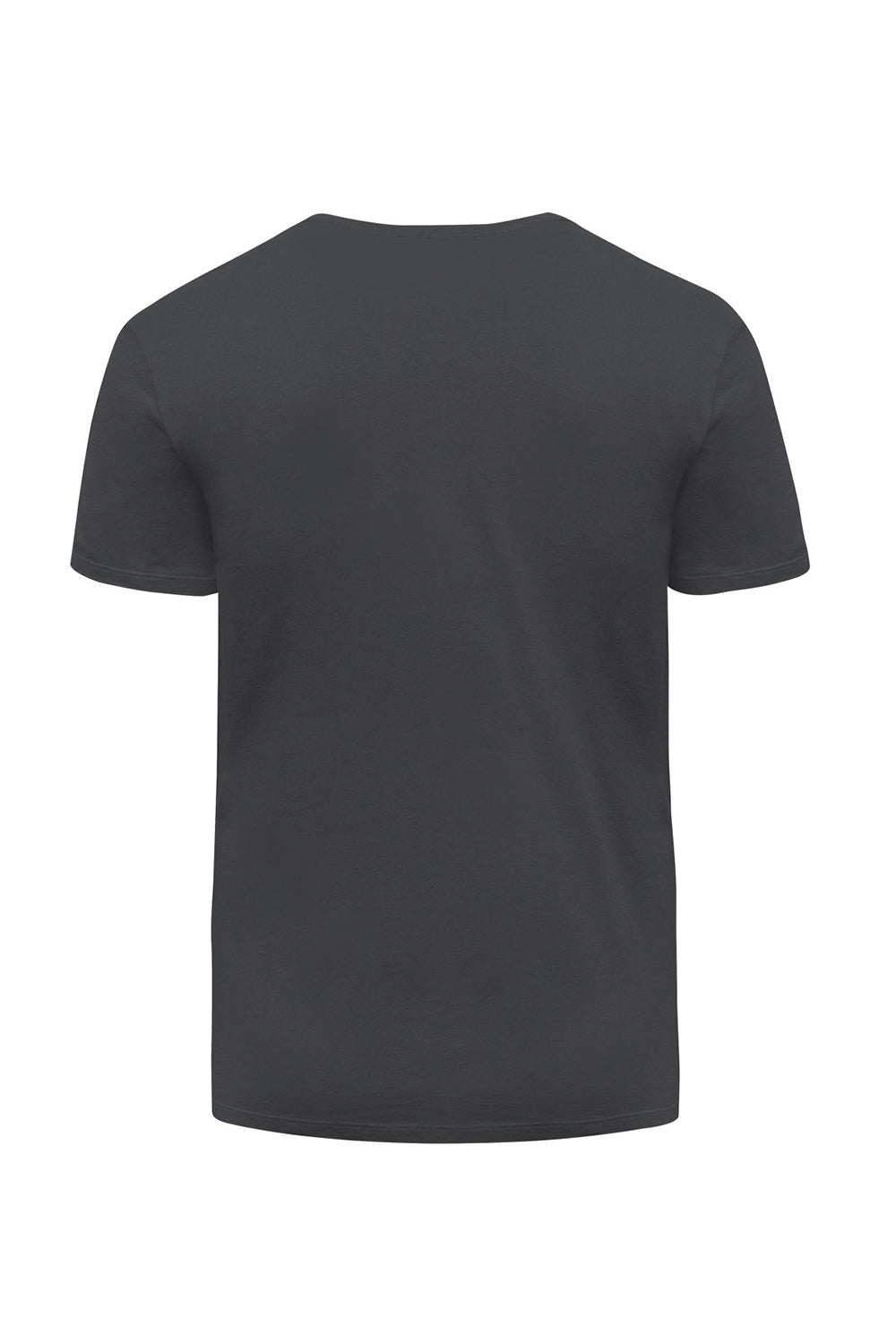 Threadfast Apparel 180A Mens Ultimate Short Sleeve Crewneck T-Shirt Coal Grey Flat Back