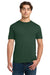 Gildan 64000 Mens Softstyle Short Sleeve Crewneck T-Shirt Fan Dark Green Model Front