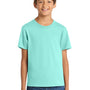 Port & Company Youth Core Short Sleeve Crewneck T-Shirt - True Celadon Blue
