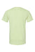 Bella + Canvas BC3001/3001C Mens Jersey Short Sleeve Crewneck T-Shirt Spring Green Flat Back