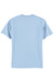 Hanes 5250 Mens Authentic Short Sleeve Crewneck T-Shirt Light Blue Flat Back