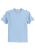 Hanes 5250 Mens Authentic Short Sleeve Crewneck T-Shirt Light Blue Flat Front