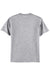 Hanes 5250 Mens Authentic Short Sleeve Crewneck T-Shirt Light Steel Grey Flat Back
