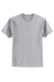 Hanes 5250 Mens Authentic Short Sleeve Crewneck T-Shirt Light Steel Grey Flat Front