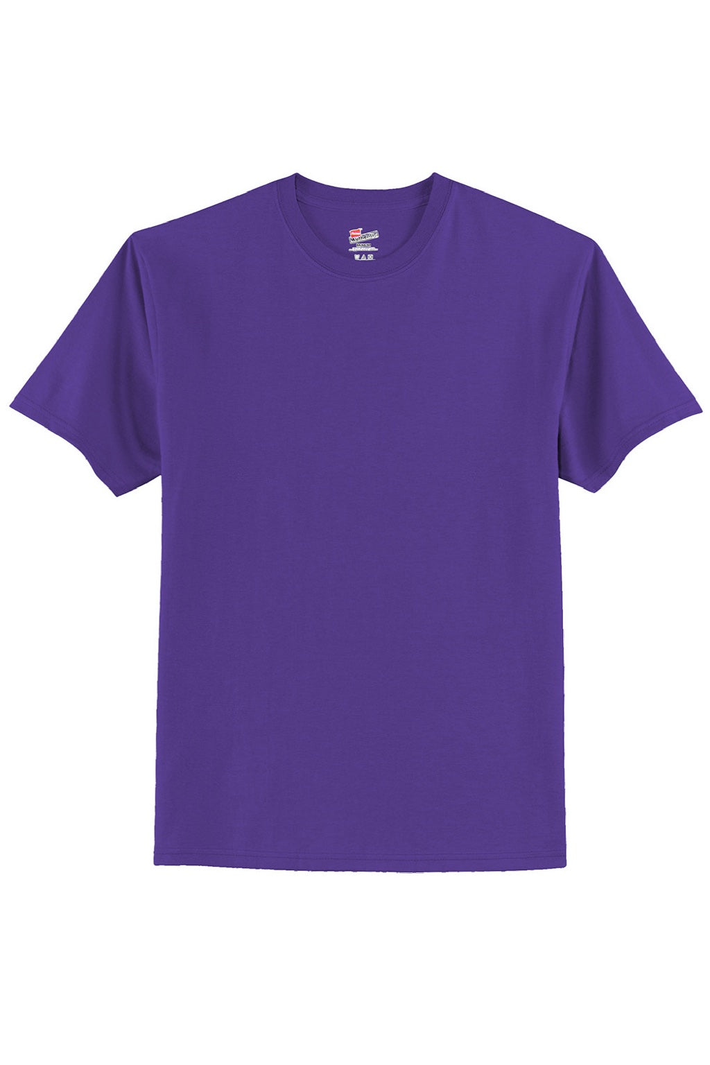 Hanes 5250 Mens Authentic Short Sleeve Crewneck T-Shirt Purple Flat Front