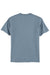 Hanes 5250 Mens Authentic Short Sleeve Crewneck T-Shirt Stonewashed Blue Flat Back