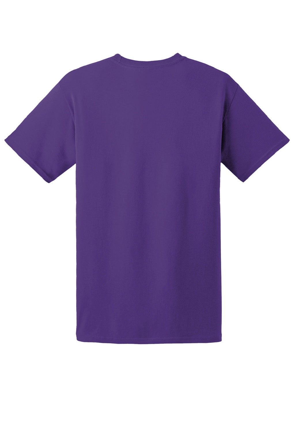 Hanes 5280 Mens Essential-T Short Sleeve Crewneck T-Shirt Purple Flat Back