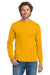 Gildan 5400 Mens Long Sleeve Crewneck T-Shirt Gold Model Front