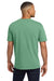 Comfort Colors 6030 Mens Short Sleeve Crewneck T-Shirt w/ Pocket Light Green Model Back