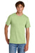 Port & Company PC43 Mens Short Sleeve Crewneck T-Shirt Pistachio Green Model Front